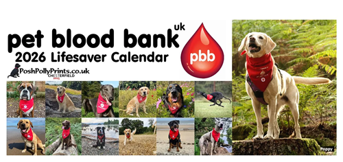 Pet Blood Bank UK 2026 Lifesaver Calendar